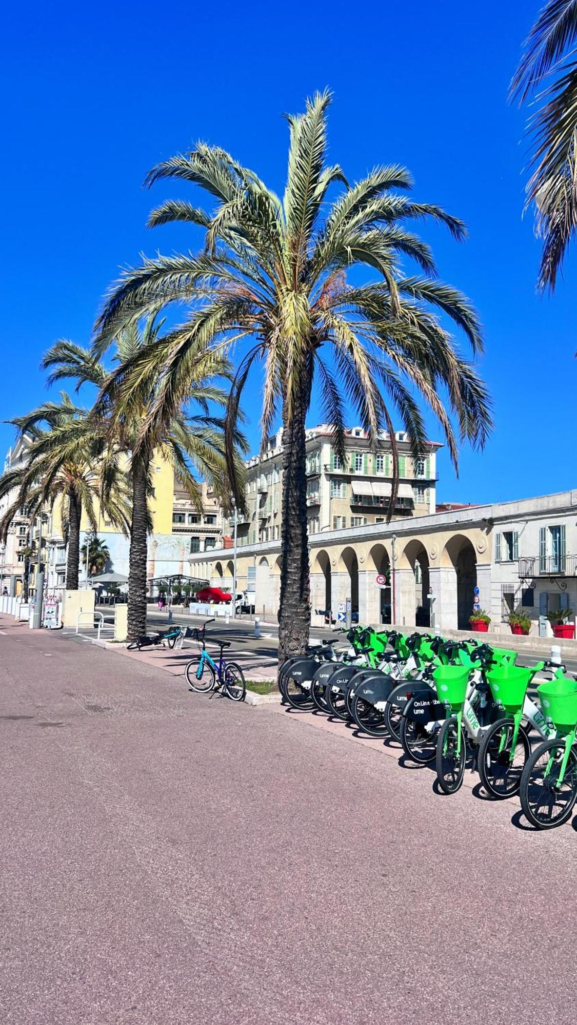 Le Mistral Daire Nice Dış mekan fotoğraf
